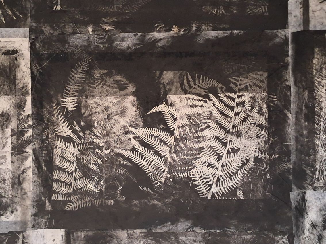 Fougères noires 1 & 2, Didier Mutel, vue 2