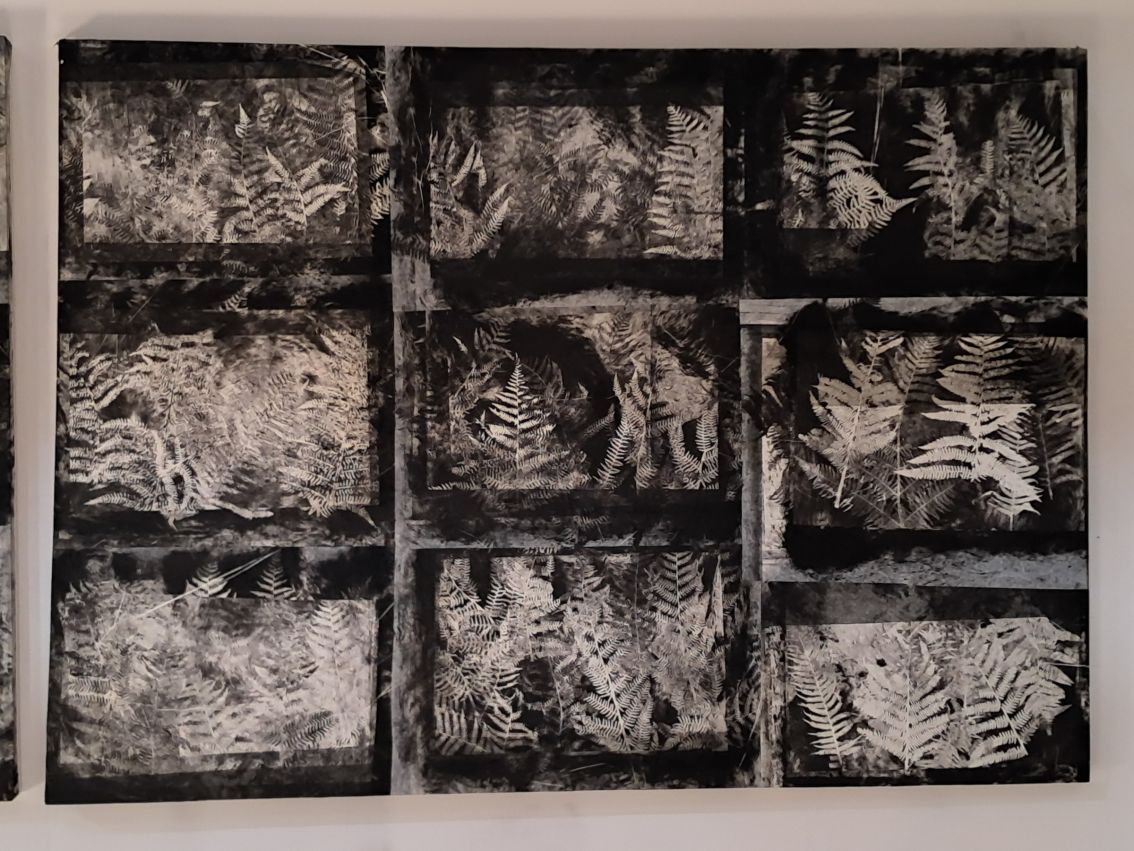 Fougères noires 1 & 2, Didier Mutel, vue 4