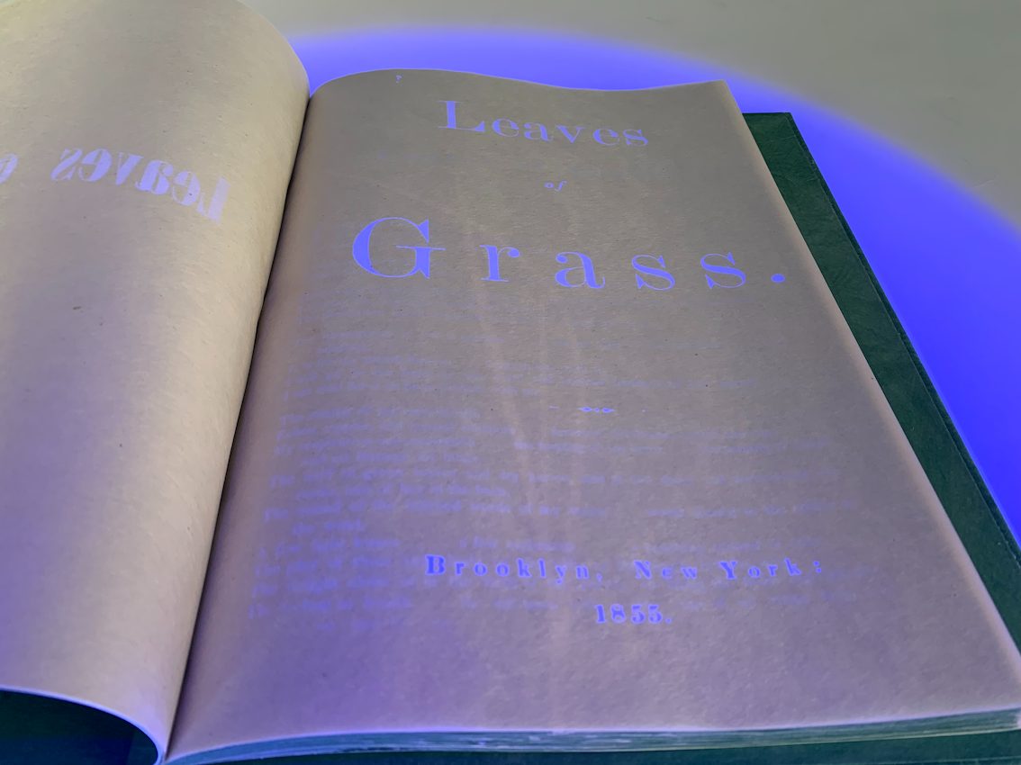 Leaves of Grass, Didier Mutel, vue 11