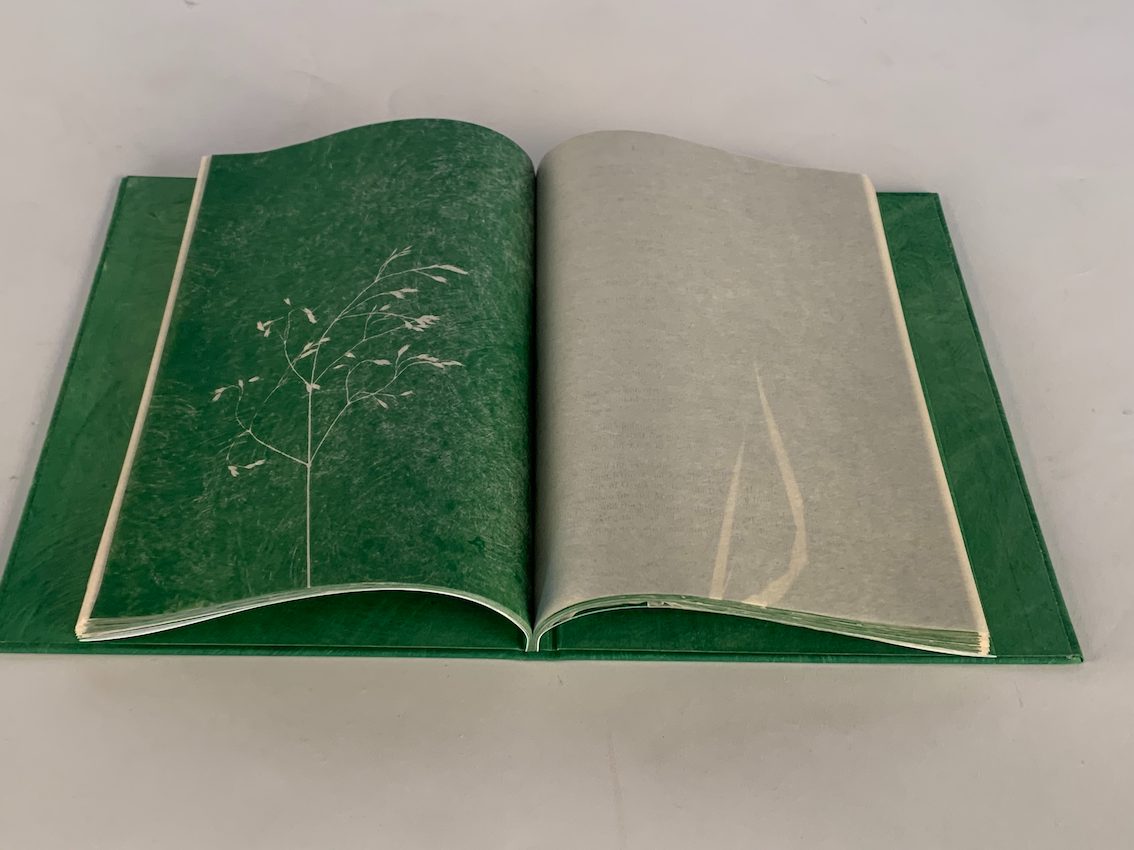 Leaves of Grass, Didier Mutel, vue 12