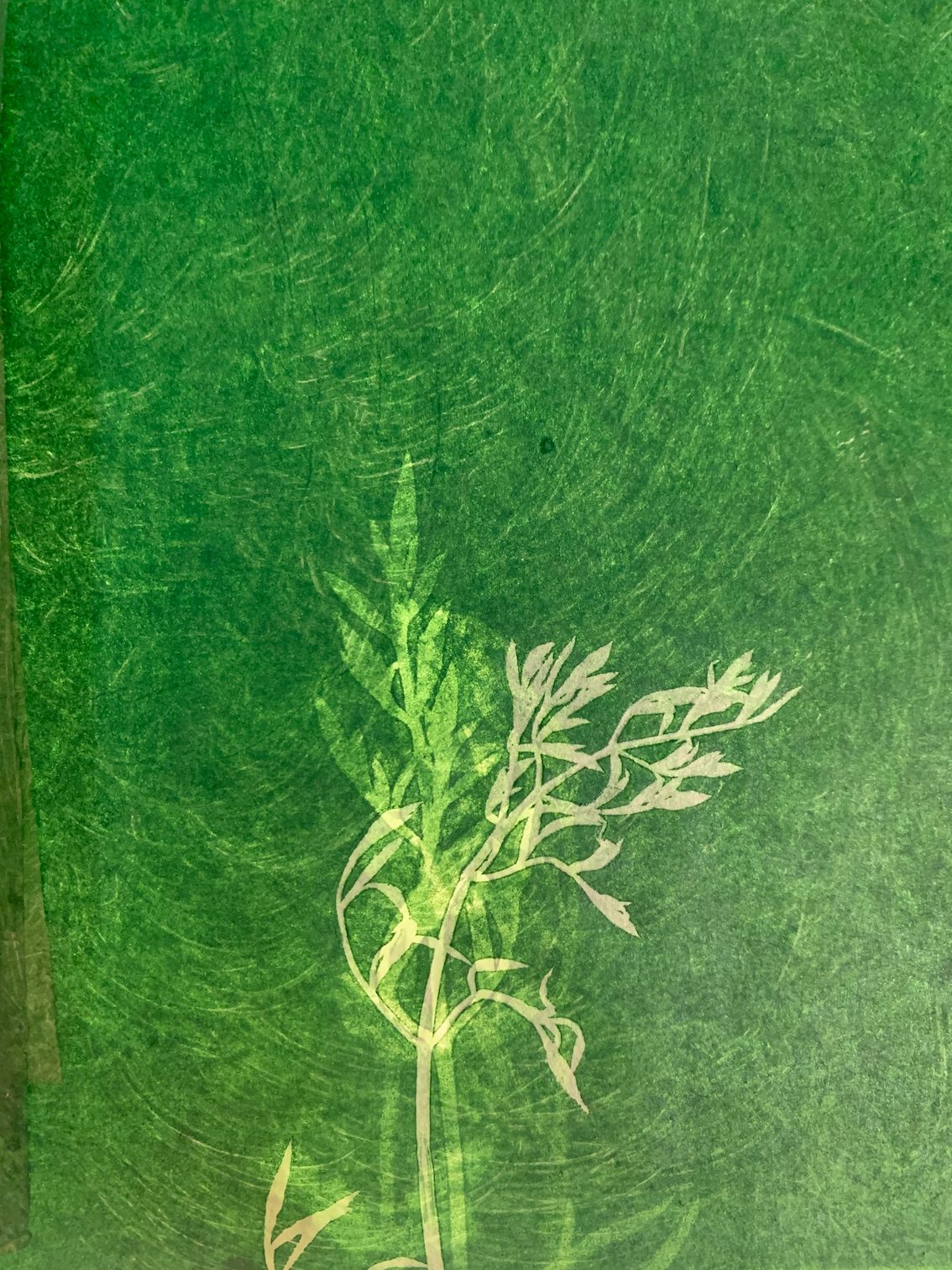 Leaves of Grass, fabrication à l'atelier, vue 5