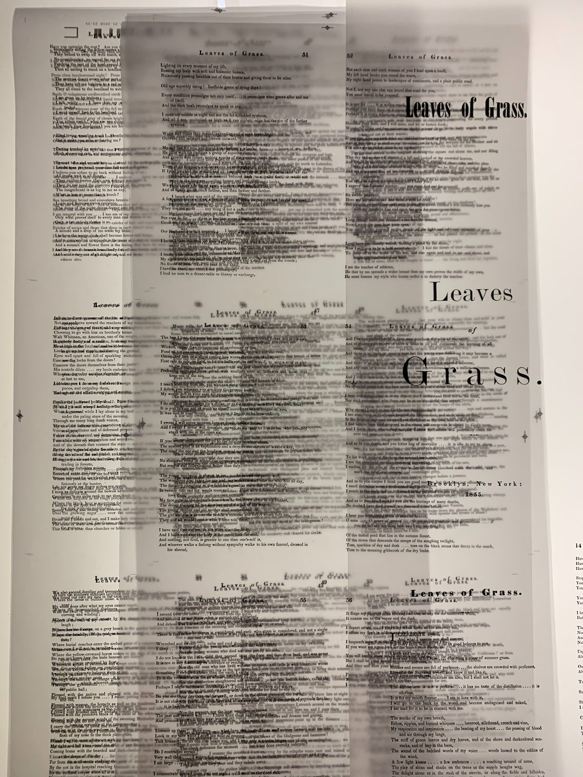 Leaves of Grass, fabrication à l'atelier, vue 6