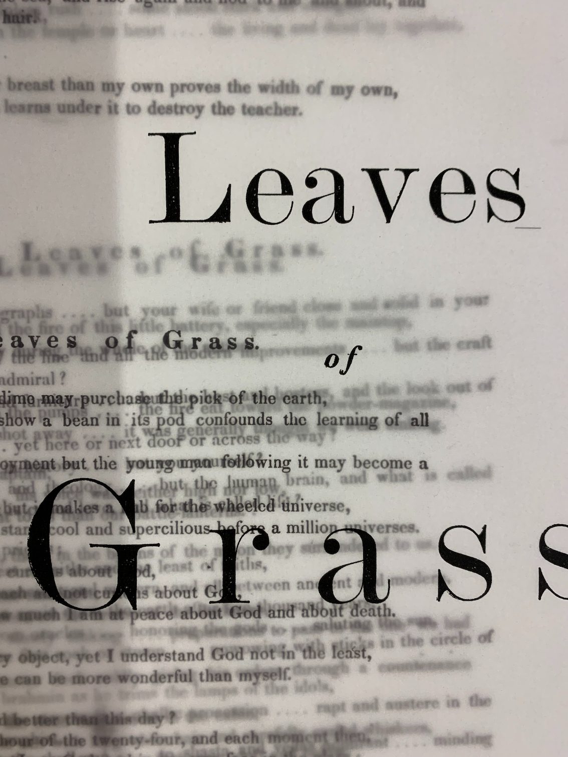 Leaves of Grass, fabrication à l'atelier, vue 7